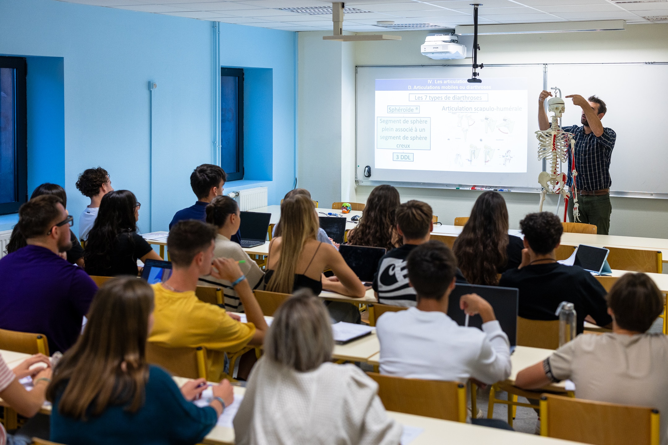 Cours d’anatomie interactif en prépa médecine – apprentissage avec support visuel