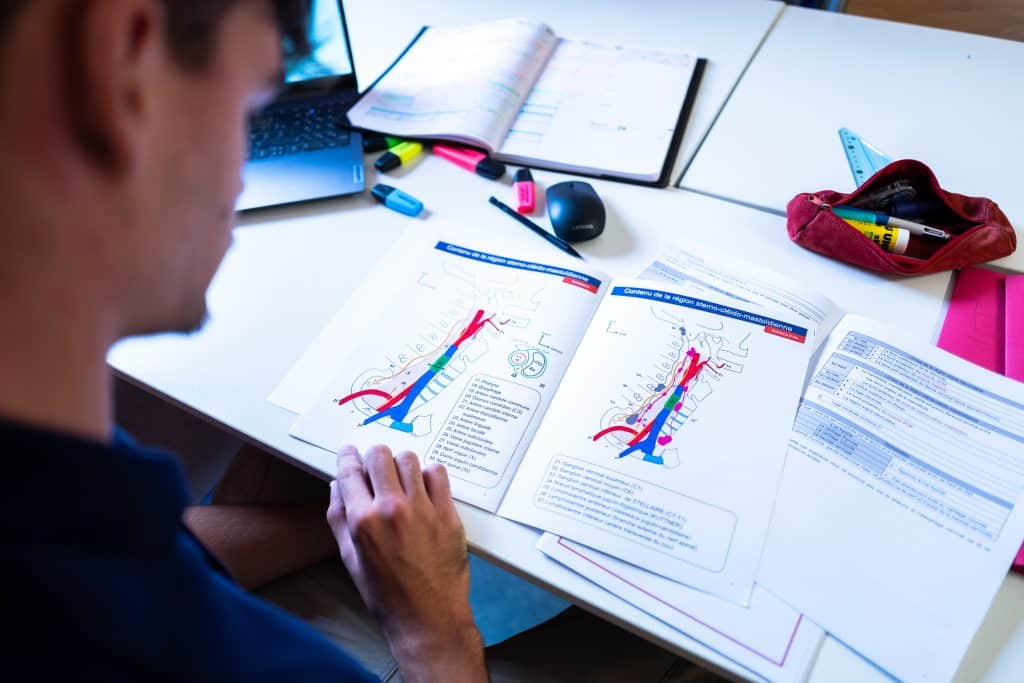 Révisions en prépa médecine avec supports d’anatomie, méthode de travail organisée