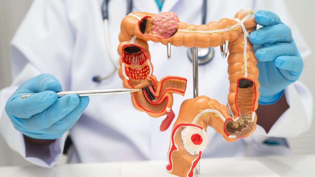 devenir gastro-entérologue