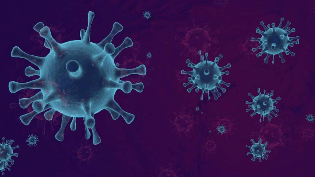 Études pour devenir infectiologue du PASS au DES de maladies infectieuses et tropicales